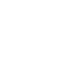 Lost in Tokyo dragon logo